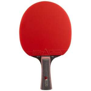 מחבט טניס שולחן JOOLA Match Pro